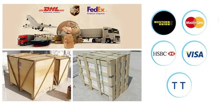 2021 New Design Animal Ornament Outdoor Street Bronze Goose Sculpture