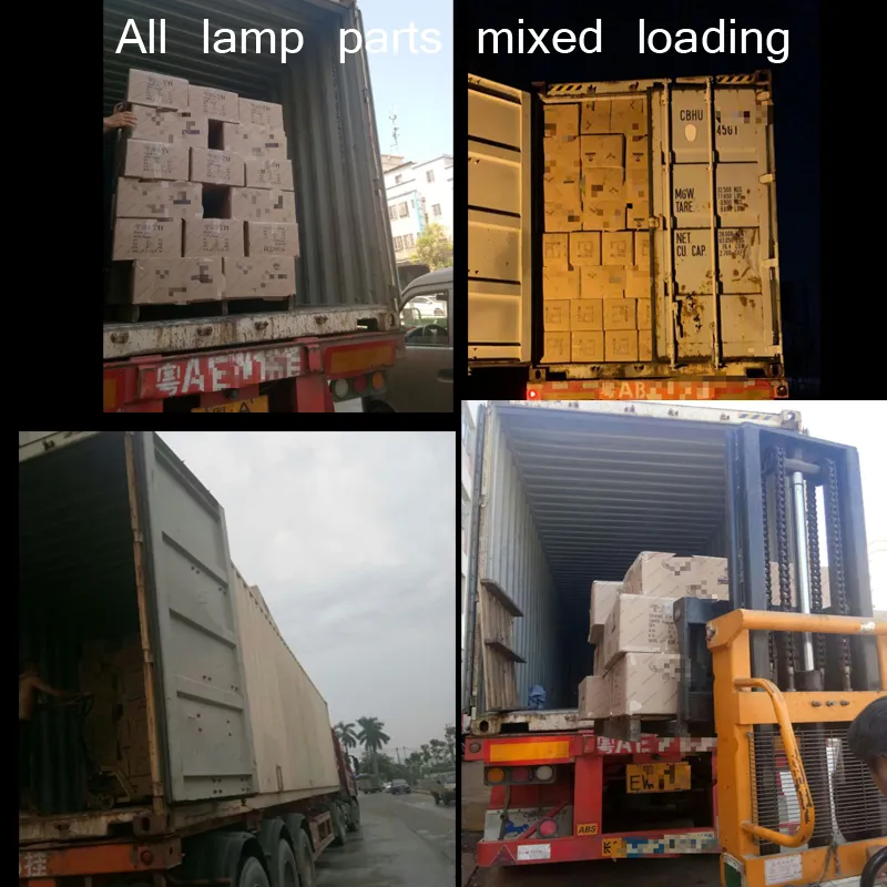 G9 Double Wall Bell Glass Shade for Hanging Lamp Custom Design Accpetable