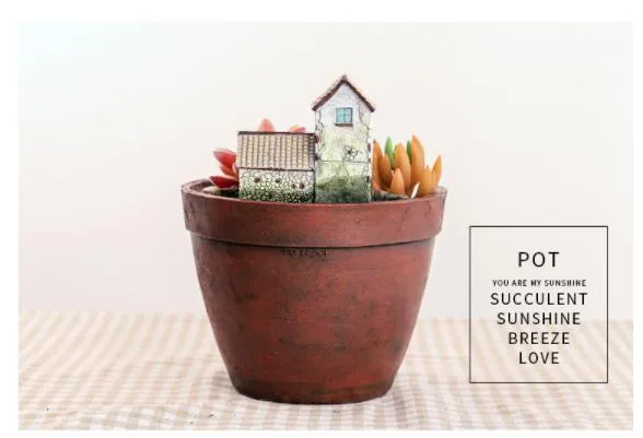 Home Sky Garden Creative Zakka Meaty Flowerpot Micro Landscape with Resin Craft Gifts-1