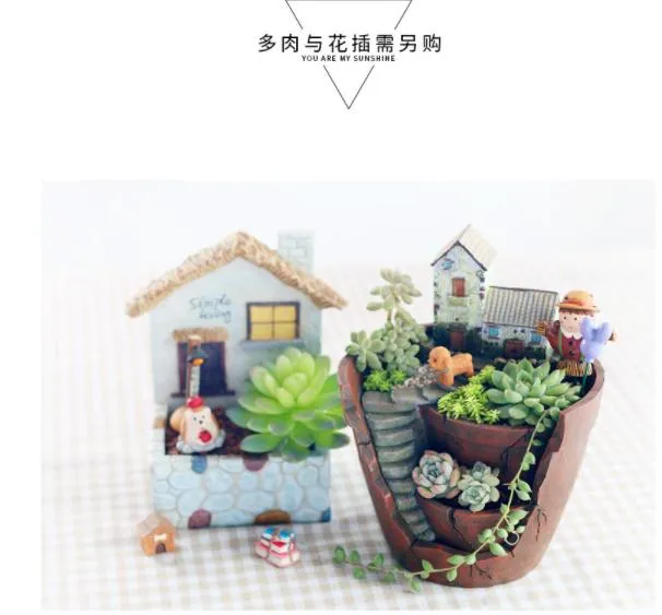 Home Sky Garden Creative Zakka Meaty Flowerpot Micro Landscape with Resin Craft Gifts