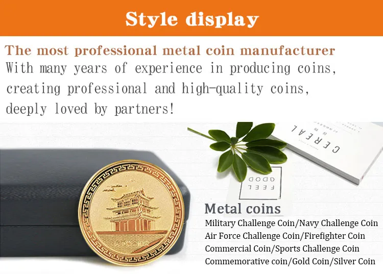 OEM Custom Soft Enamel 3D Metal Military Air Force Sheriff Challenge Coin